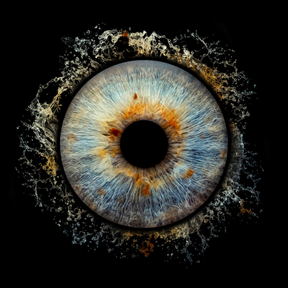 Splash_1500px